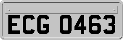 ECG0463
