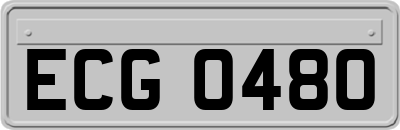 ECG0480