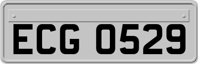 ECG0529