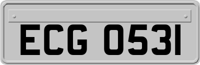 ECG0531