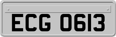 ECG0613