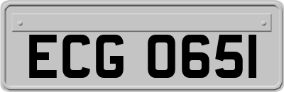 ECG0651