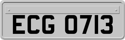 ECG0713
