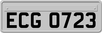ECG0723