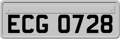 ECG0728
