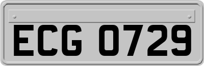 ECG0729