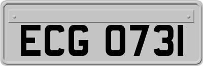 ECG0731