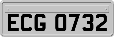 ECG0732