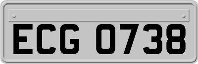 ECG0738