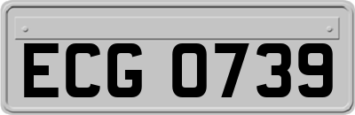 ECG0739