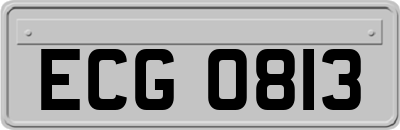 ECG0813