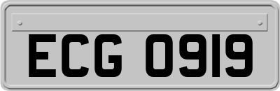 ECG0919