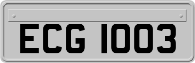 ECG1003