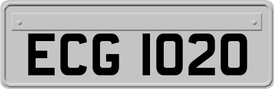 ECG1020