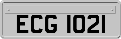 ECG1021