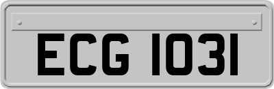 ECG1031