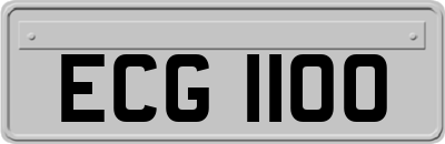 ECG1100