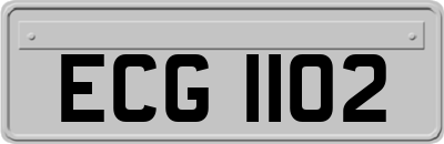 ECG1102