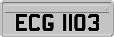 ECG1103