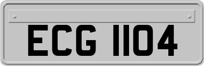 ECG1104