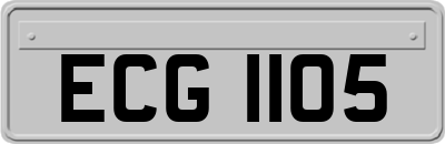 ECG1105