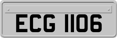 ECG1106