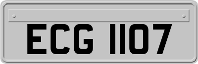 ECG1107