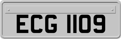 ECG1109