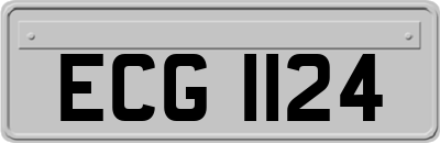 ECG1124