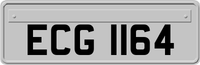 ECG1164