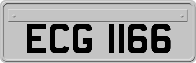 ECG1166