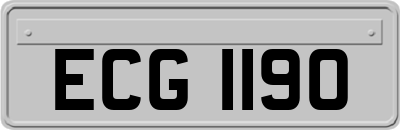ECG1190