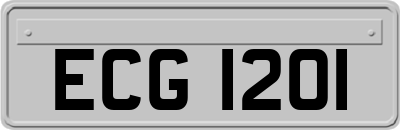 ECG1201