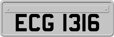 ECG1316