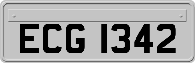 ECG1342