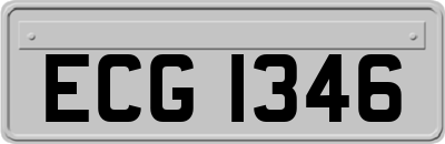 ECG1346