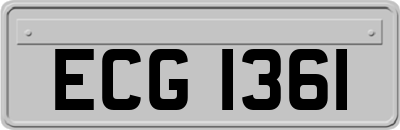 ECG1361