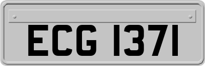 ECG1371