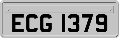 ECG1379