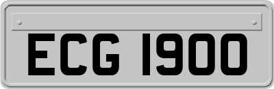 ECG1900