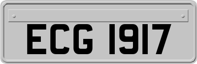 ECG1917