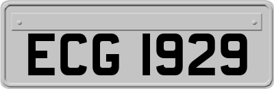 ECG1929