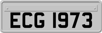 ECG1973