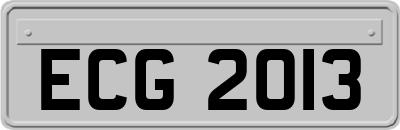 ECG2013