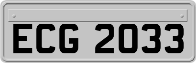 ECG2033