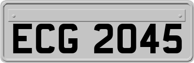 ECG2045