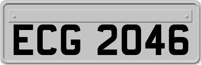 ECG2046