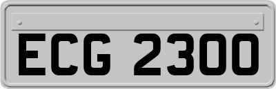 ECG2300