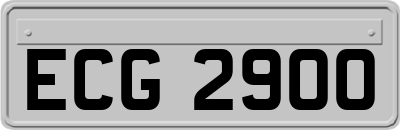ECG2900