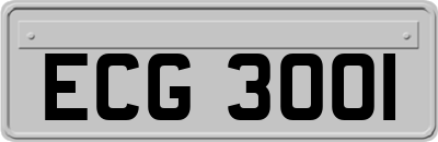 ECG3001